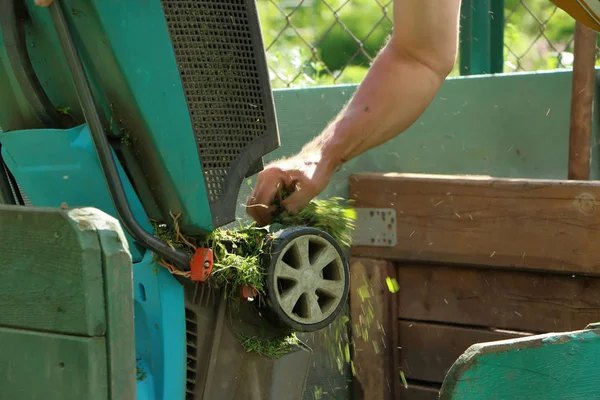 Il giardiniere scuote l'erba dal tosaerba nel compost. focus selettivo — Foto Stock