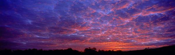 Belo pôr do sol acima das árvores — Fotografia de Stock