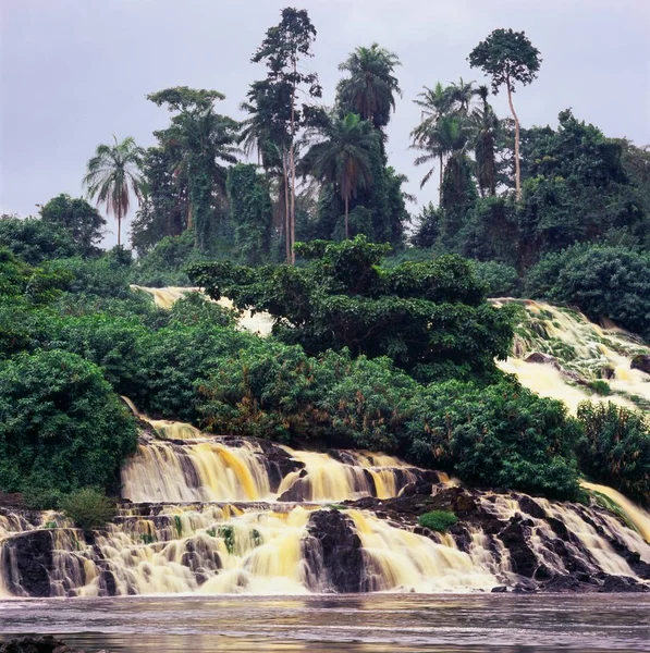 Wasserfall im tropischen Dschungel — Stockfoto