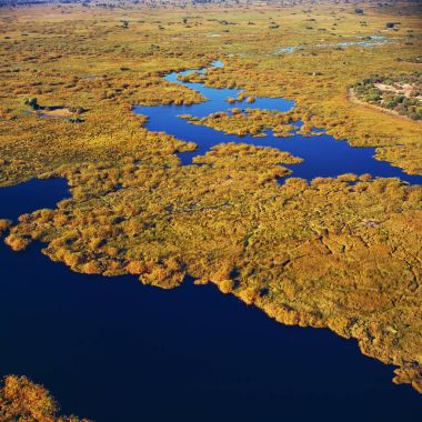 Okavango river, aerial view clipart