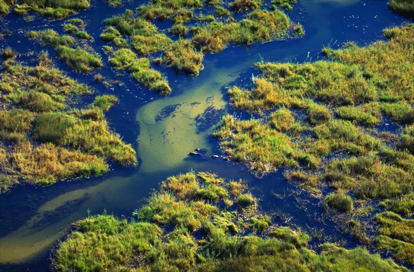Okavango Nehri, havadan görünümü