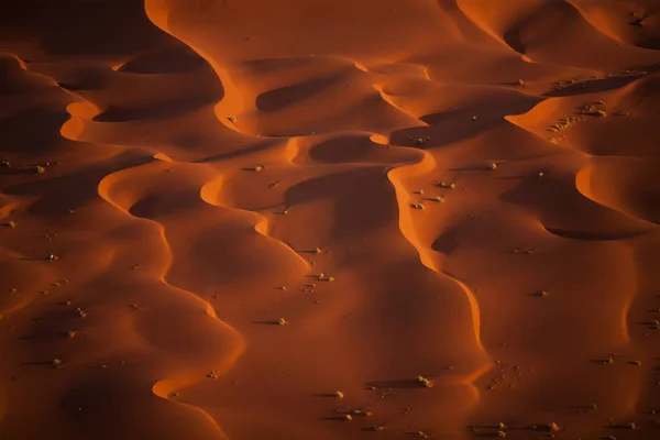 Hermosas dunas del desierto al atardecer — Foto de Stock