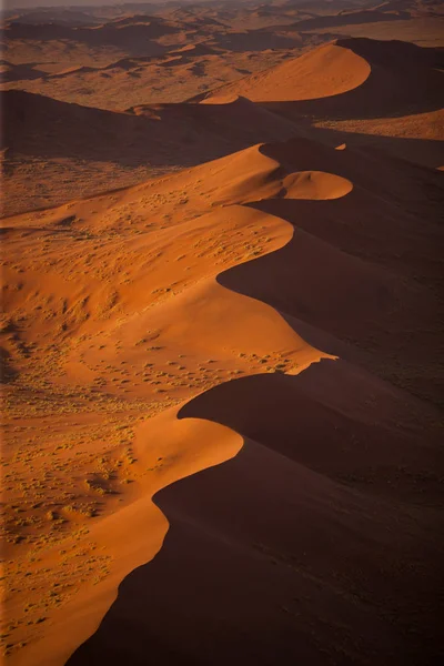 Belas dunas do deserto no pôr do sol — Fotografia de Stock