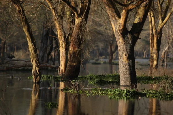 beautiful tropical lake