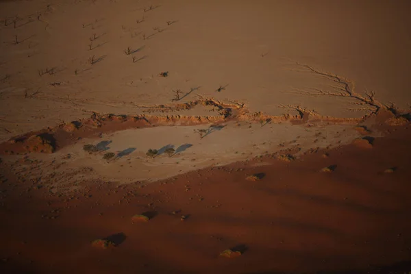 Piękne wydmy pustyni na zachód słońca — Zdjęcie stockowe