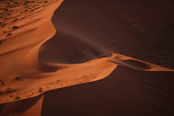 Hermosas dunas del desierto al atardecer — Foto de Stock