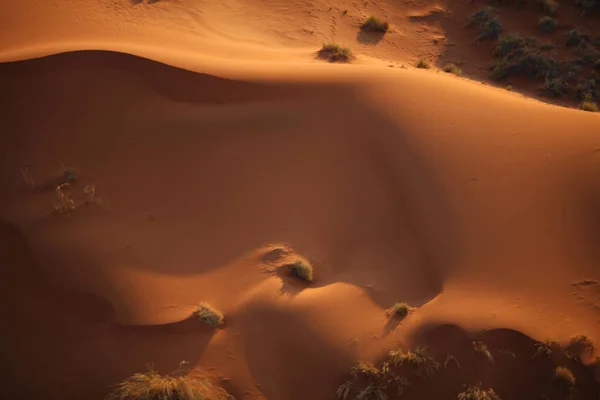 Hermosas dunas del desierto al atardecer — Foto de Stock