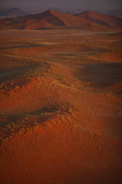 Красиві пустельні дюни на заході сонця — стокове фото
