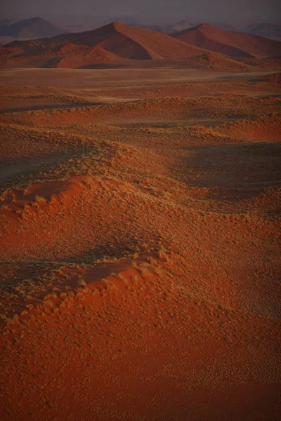 Beautiful desert dunes on sunset — Stock Photo, Image