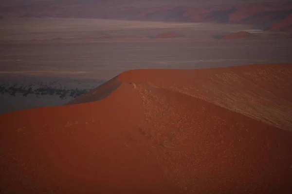 Hermosas dunas del desierto al atardecer — Foto de Stock