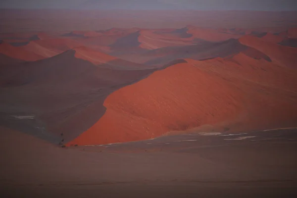 Beautiful desert dunes on sunset — Stock Photo, Image