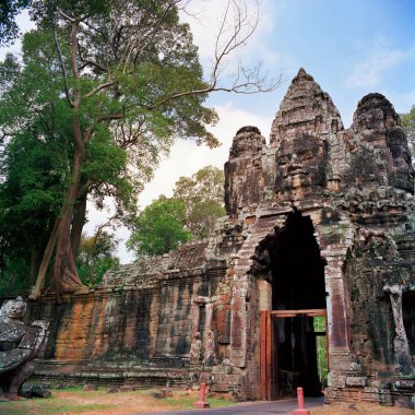 Dev banyan ağaçları vasıl Angkor Wat