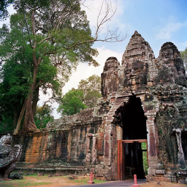 Dev banyan ağaçları vasıl Angkor Wat