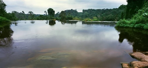 Big lake in jungle — Stock Photo, Image