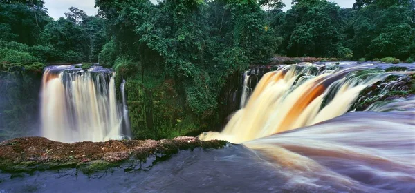 Wasserfall im grünen Dschungel — Stockfoto