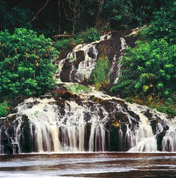 Cascata con lago nella foresta — Foto Stock