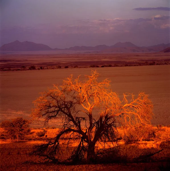 Afrikaanse tableland landschap — Stockfoto