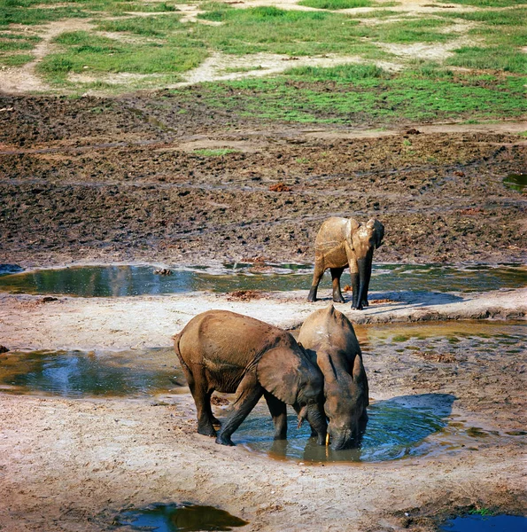 Filler içme suyu — Stok fotoğraf