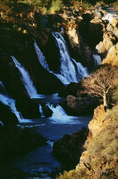 Baobab δέντρο στη Ναμίμπια — Φωτογραφία Αρχείου