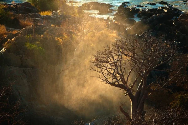 Baobá Árvore Com Grande Cachoeira Montanha Fundo Namíbia — Fotografia de Stock