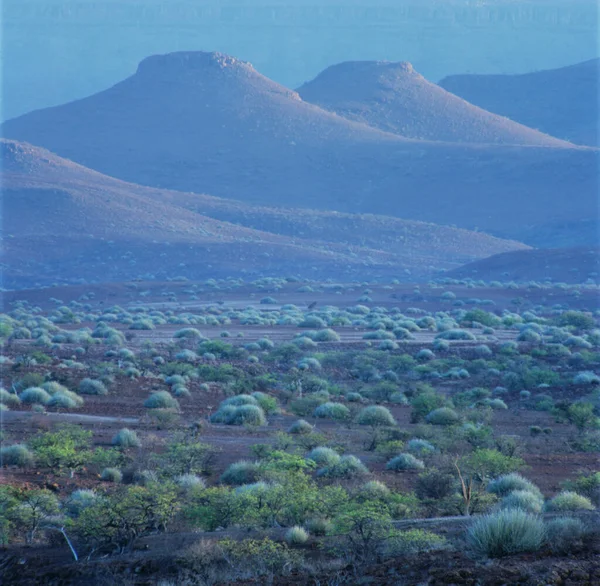Savannenlandschaft Namibia — Stockfoto