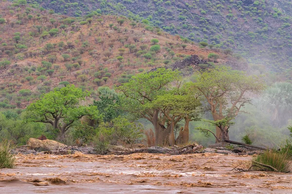 Landscape Savannah Namibia — Stock Photo, Image