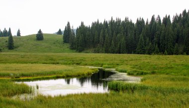 Romanya 'nın Apuseni Doğal Parkı' ndaki dağlarda göl