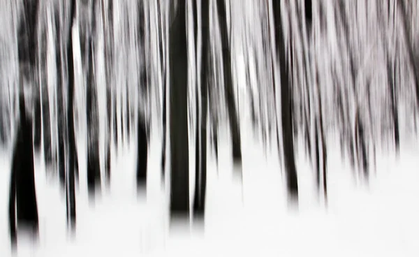 Surreal Motion Blur Abstraktní Efekt Lese Stromy — Stock fotografie