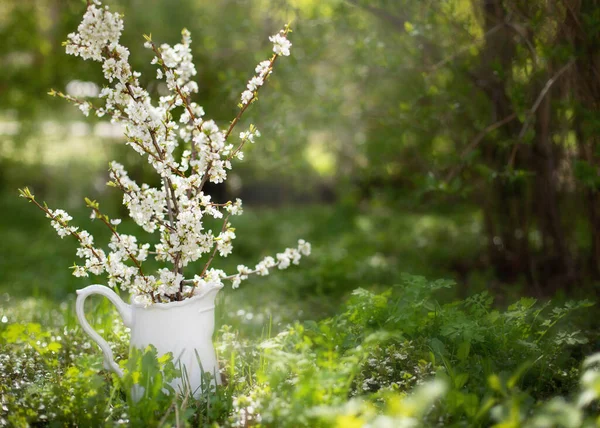 saksıdaki çiçekler