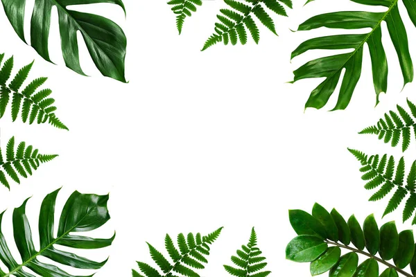 Tropischer Grüner Blattrahmen — Stockfoto
