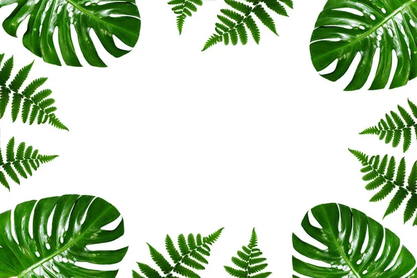 Beyaz Üzerine Yeşil Yaprak Çerçeve Grubu — Stok fotoğraf