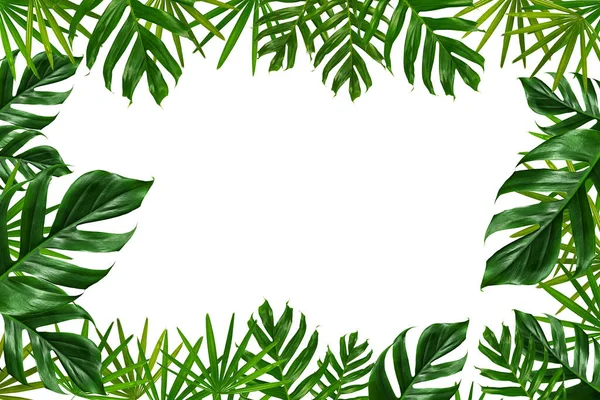 Grupa Zielonych Liści Ramki Białym — Zdjęcie stockowe