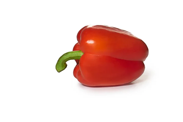 Bir kırmızı dolma biber beyaz arka planda izole edilmiş..