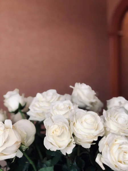 Buquê Flores Rosas Brancas Frescas — Fotografia de Stock