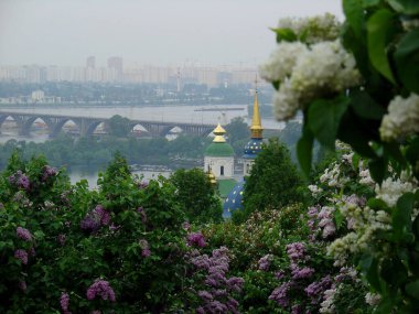 Baharda çiçek açan leylaklar ve Kyiv Kilisesi ile şehir manzarası