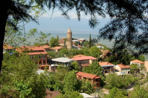 Paisaje Verano Vista Ciudad Desde Detrás Los Árboles Georgia Sighnaghi — Foto de Stock