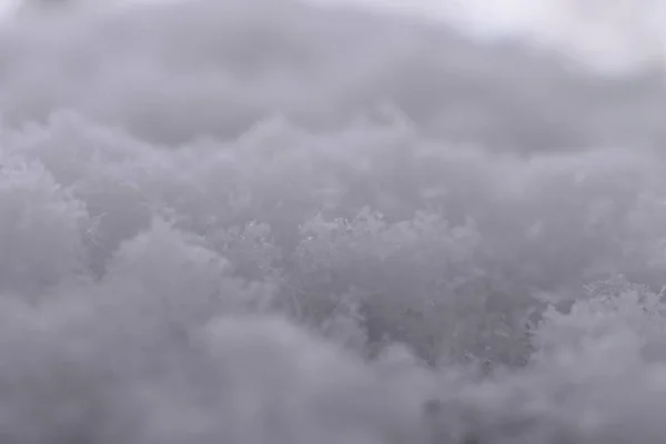 Manta Blanca Nieve Llena Nuestro Paisaje Sapporo Japón — Foto de Stock