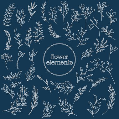 El Çizimi Çiçek Bağbozumu. El Çizimi Çiçekler ve Davetiyeler, Tebrik Kartları ve Çerçeveler İçin Yapraklar.