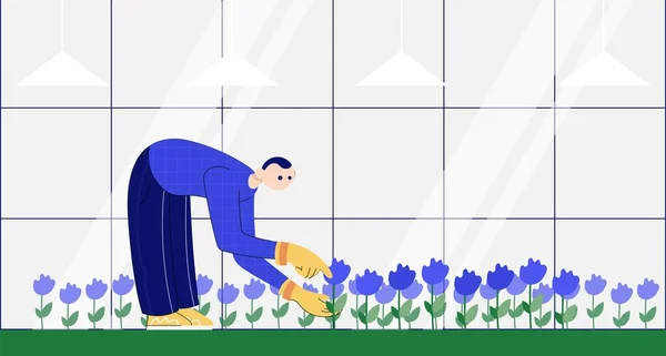 Jardinier s'occupe des fleurs dans le jardin. Illustration couleur . — Image vectorielle