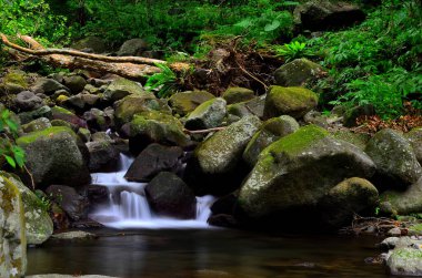 Huzurlu ve Harika Şelale