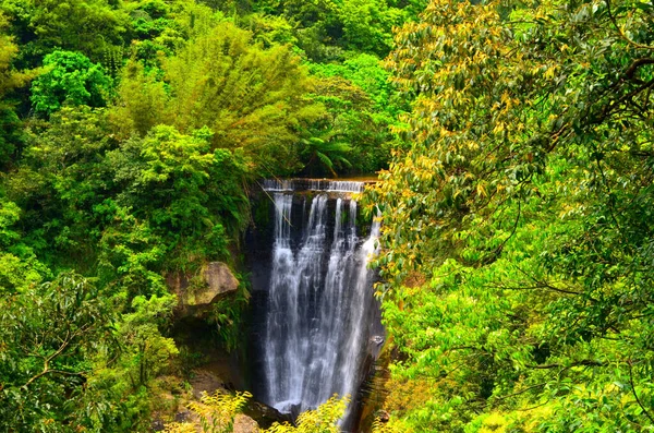 Glimpse Waterfall Hiding Forest — Stock Photo, Image