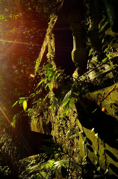 Plant in Deserted Building under Twilight