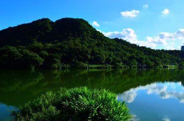 Yeşil Dünya, Göl 'den gelen Dağların ve Gökyüzünün Yansımalarını içerir