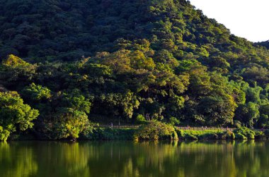 Alacakaranlıktaki Güzel Dağ yolunda bir yürüyüş yap.