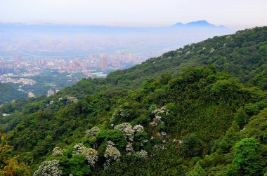 Çiçek açan ağaçlar Dağları süslüyor