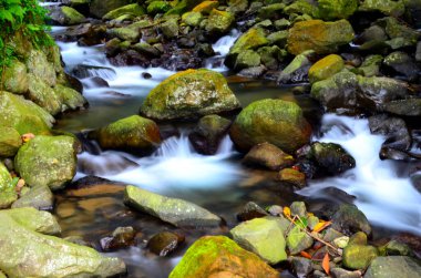 Şelale Katman katman akıyor