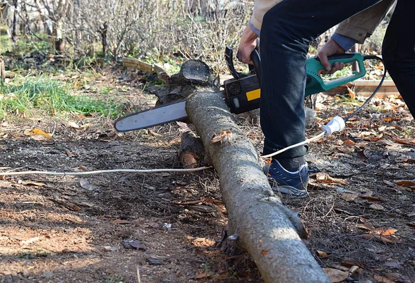 A man saws a log with an electric chain saw for the purpose of harvesting firewood.