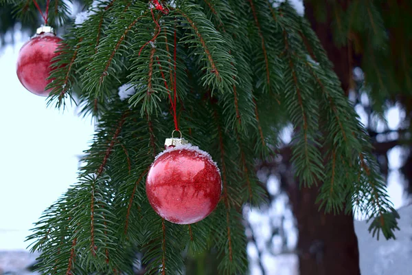 Branch Christmas Tree Decorated Red Balls Outdoors — Stock Photo, Image