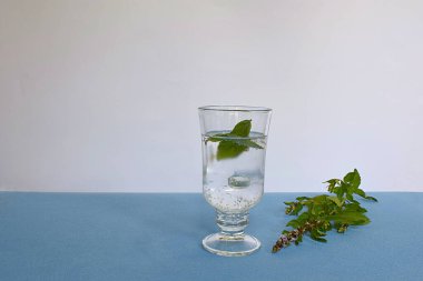 Bir bardak maden suyu ve nane, golobom arka planda çiçek açan nane filizi..