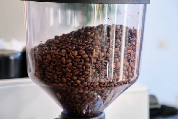 Roasted Coffee beans are ready to mix in coffee machine. Small business . Catering. Cafe.